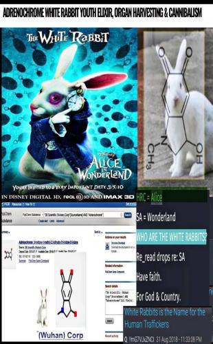 photo_2022-11-22_11-09-09