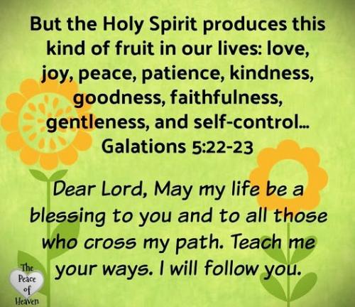 011525 - Fruit of Spirit Gal 5-22,23