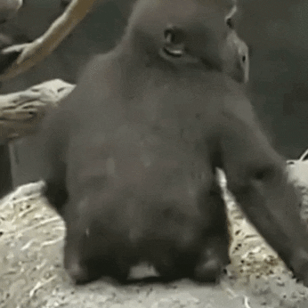 bbnn