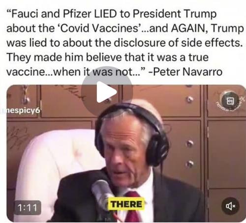 Navarro vax lies