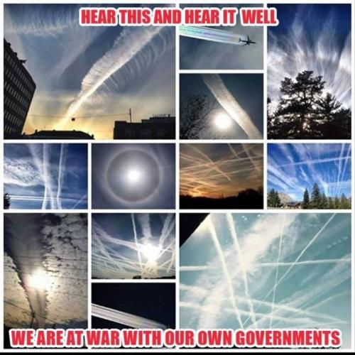 1e323851-969b-4977-93b5-572e369b8386