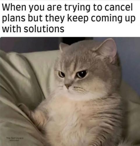1000067456