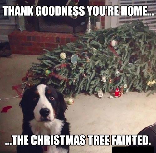 AF63121F-DFB3-47EC-A768-839F57E18873