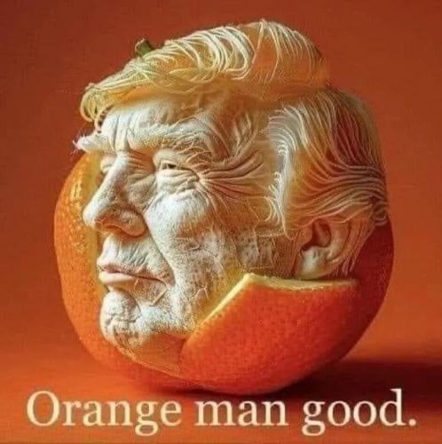 1000065878