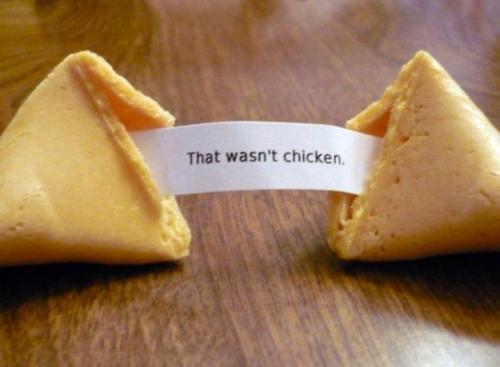wasntchicken