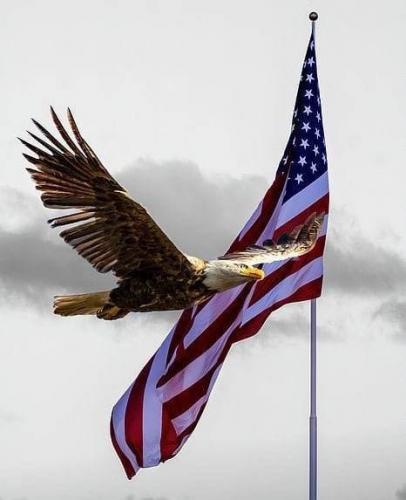 EagleFlag