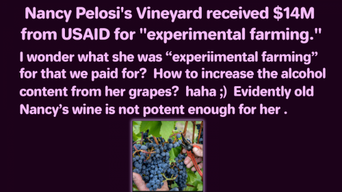 14 Milliom for Nancys Wine