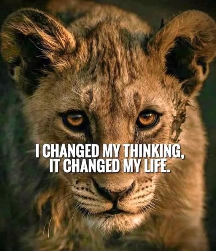 022625 - Changed thinking