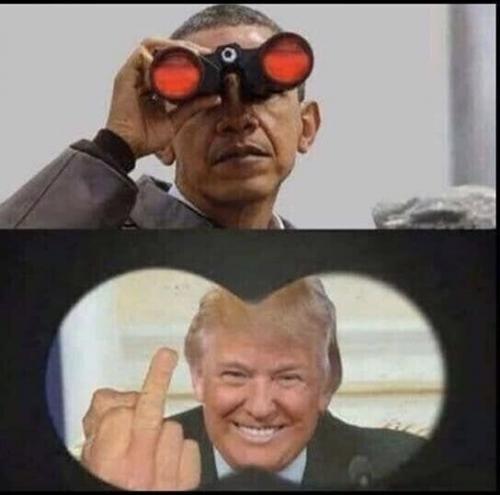 1000015208