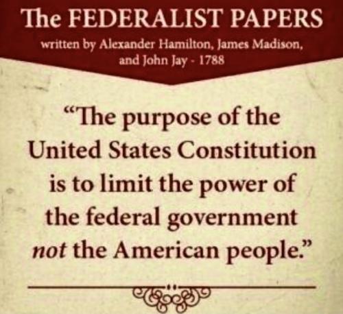 a115192147b42a969bda947e3c426f11_500