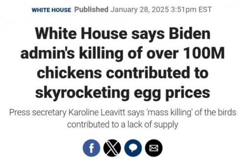 photo_2025-02-19_21-50-20