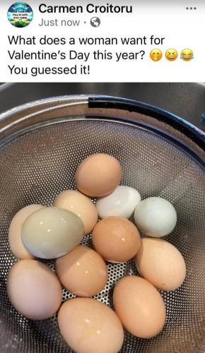 photo_2025-02-15_15-01-30