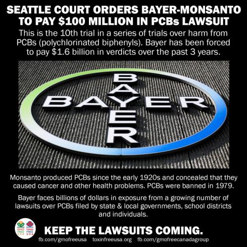 62F92ADC-E2F9-4F9A-B8AE-FD621D23C99C