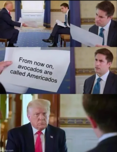 1000019605