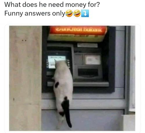 What does he need