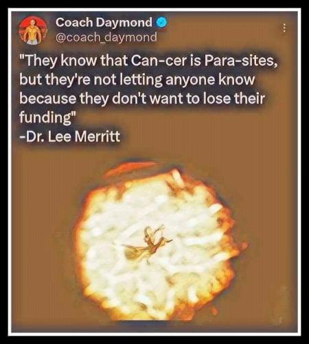 photo_2025-02-21_14-58-43