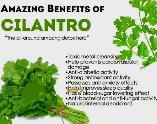 photo_2025-02-17_21-43-55