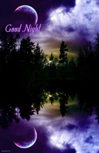 purple good night