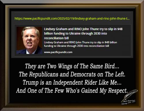 Lindsey Gram The Rino