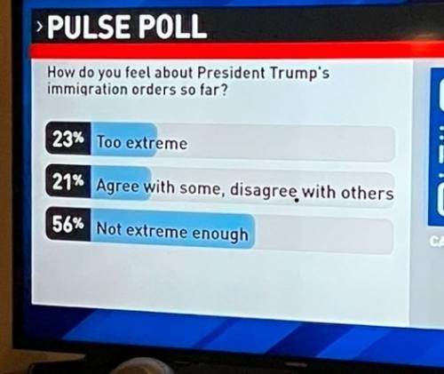 poll