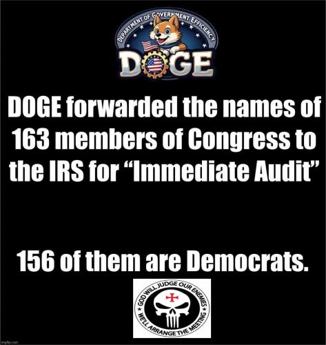 DOGE congressional audits