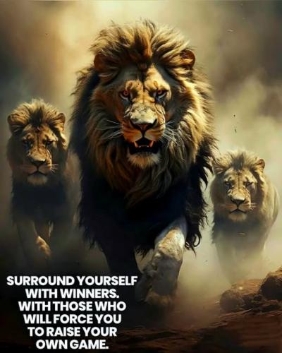 021025 - Winners