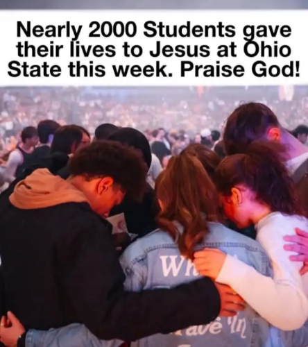 1000020528