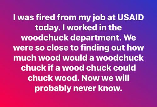 woodchuck