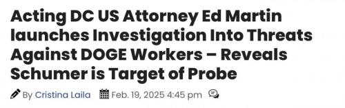 Schumer target probe