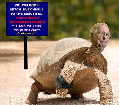 GRAPHIC+McConnell+Turtle