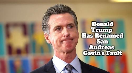 Gavin's Fault.960px