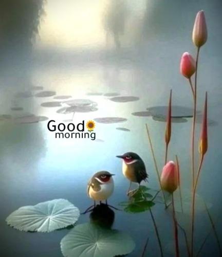 021625 - Birds on a pond
