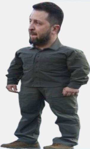 midget zelensky