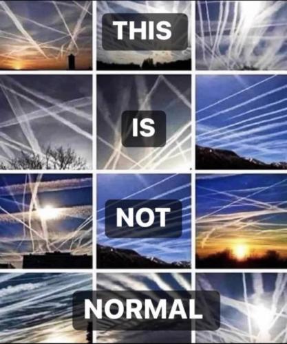 photo_2025-02-17_21-32-12