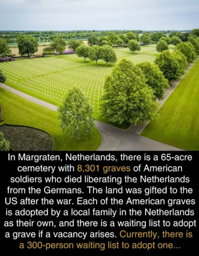 1000020459