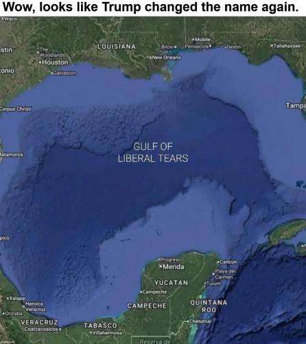 Gulf of Liberal Tears.960px