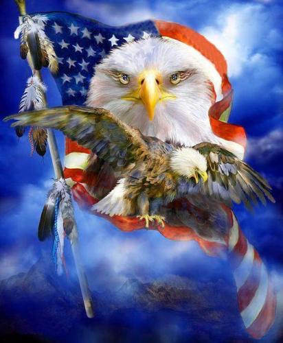 Eagle flag1