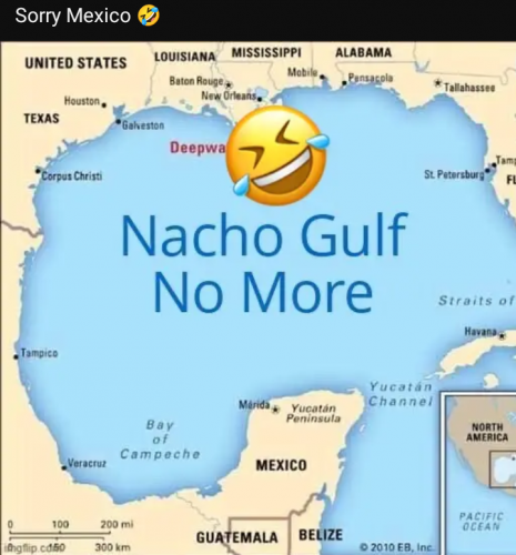 1000020341