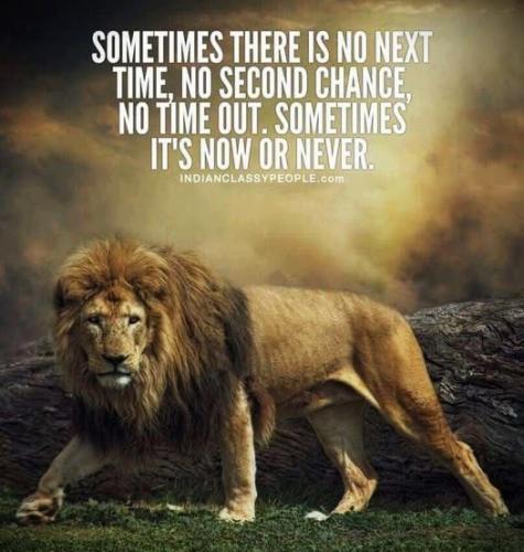 020425 - Now or never