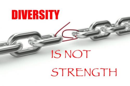 diversity