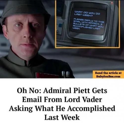 1000074203