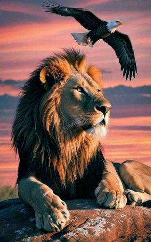 EagleLion