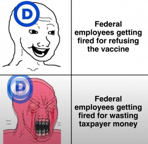 photo_2025-02-15_20-16-12