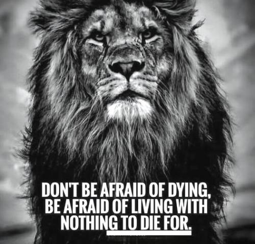 022525 - Nothing to die for