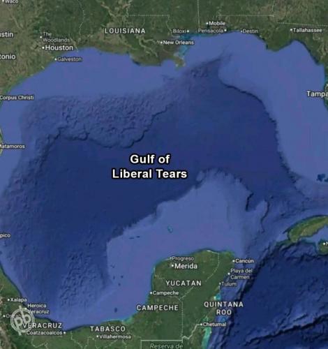 photo_2025-02-12_22-28-24