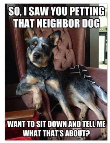 So, I saw you