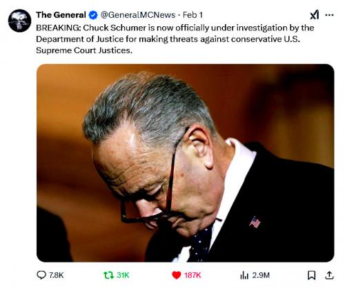 Chuck Schumer Under The Gun