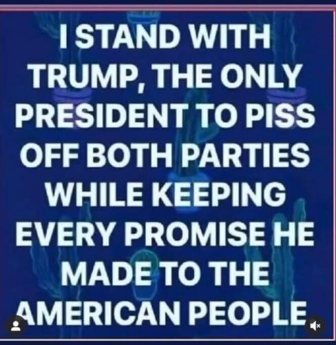 I STAND WITH TRUMP  TS