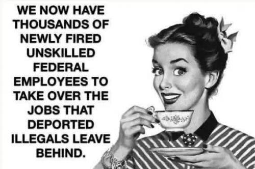 FB_IMG_1738553997422