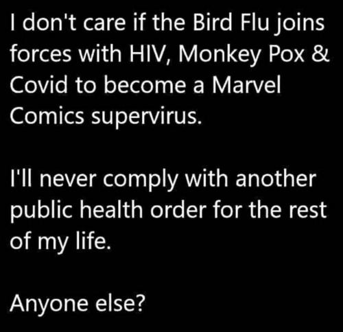 photo_2025-02-26_21-03-09